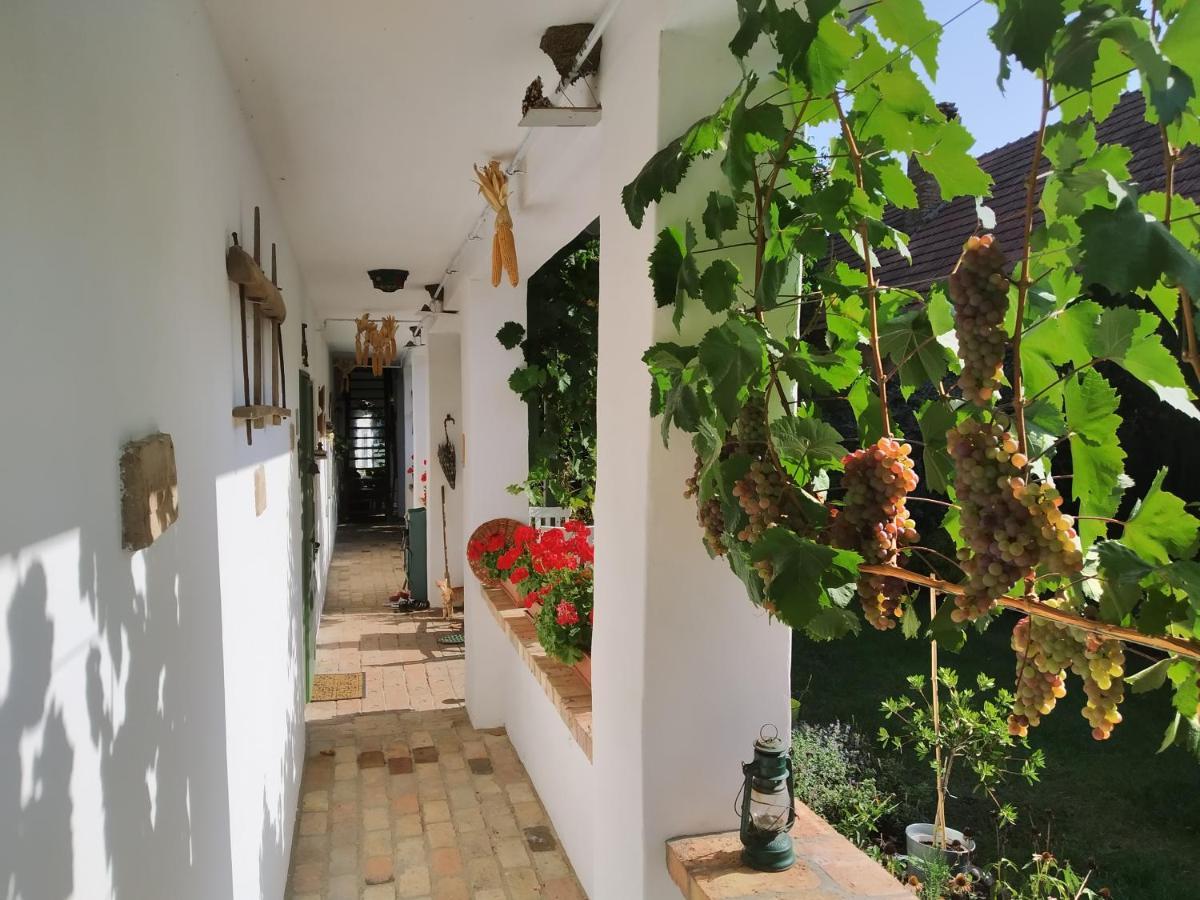 Egkoris Vendeghaz Otel Bakonyszucs Dış mekan fotoğraf