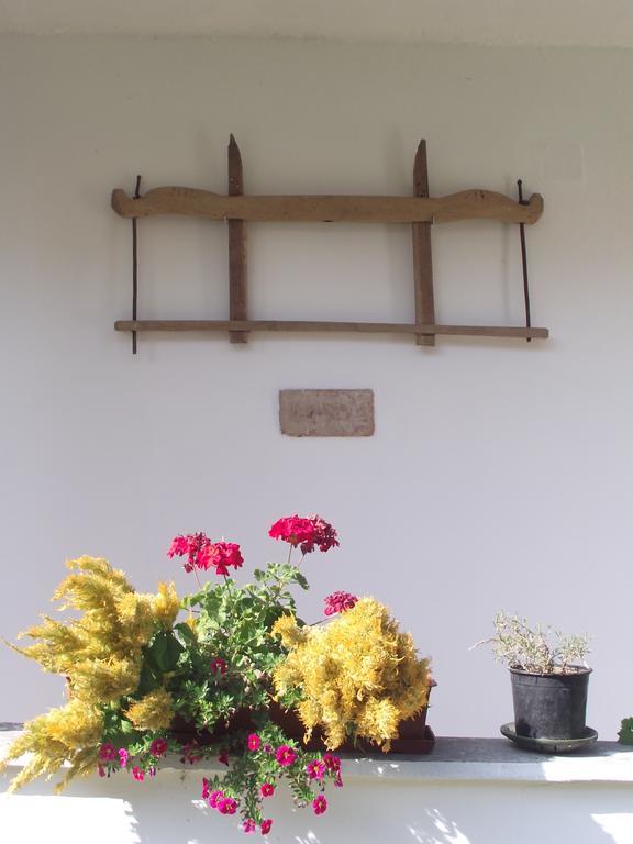 Egkoris Vendeghaz Otel Bakonyszucs Dış mekan fotoğraf